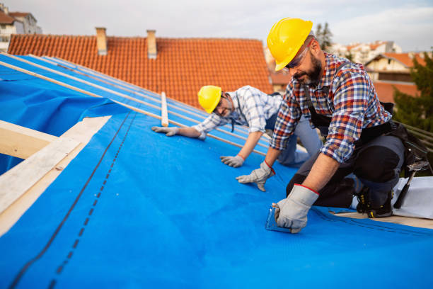 Best Roof Gutter Cleaning  in Simpson, PA